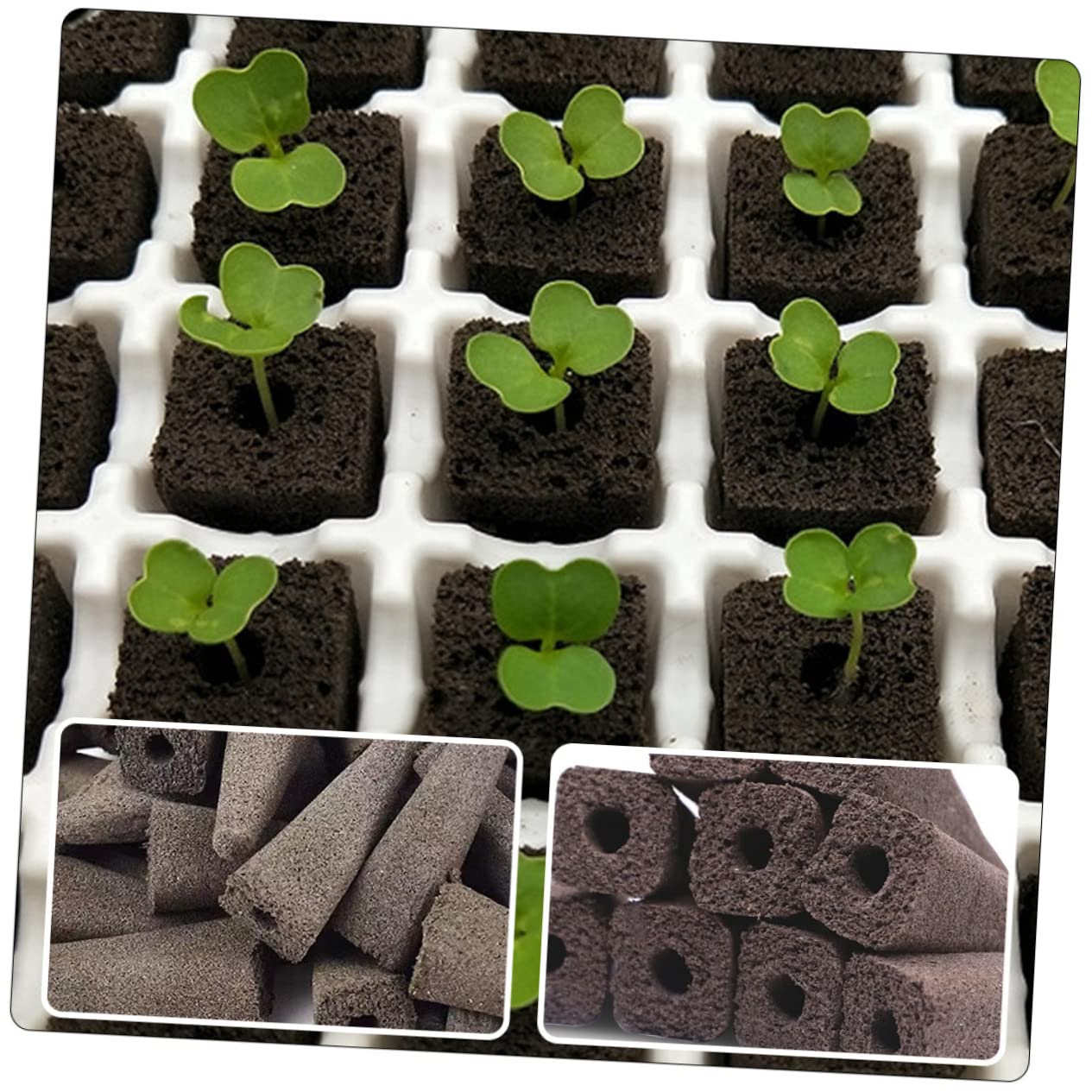 BESPORTBLE 100pezzi Nutrienti per Coltivazione per Giardinaggio Balcone e Vasi Ottimale per Semi e Idroponiche
