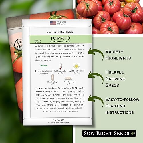 Miniatura 2 de Sow Right Seeds - Semillas de tomate rosa Ponderosa para plantar - Paquete de reliquia sin OMG con instrucciones para plantar y cultivar un huerto