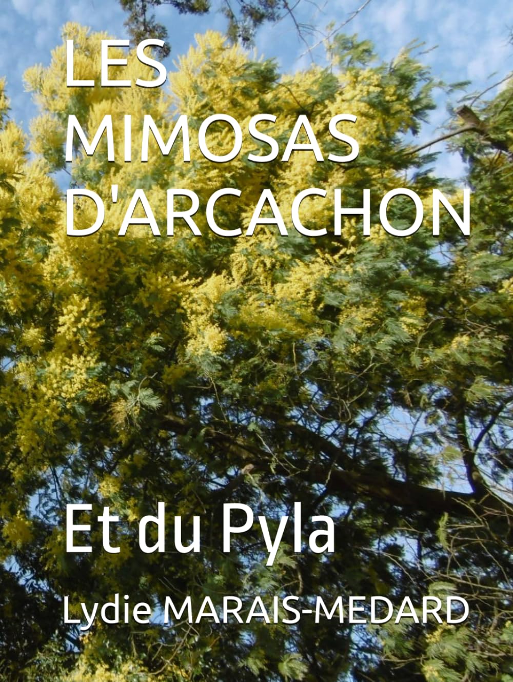 Beau livre Les Mimosas d'Arcachon et du Pyla album illustré régional