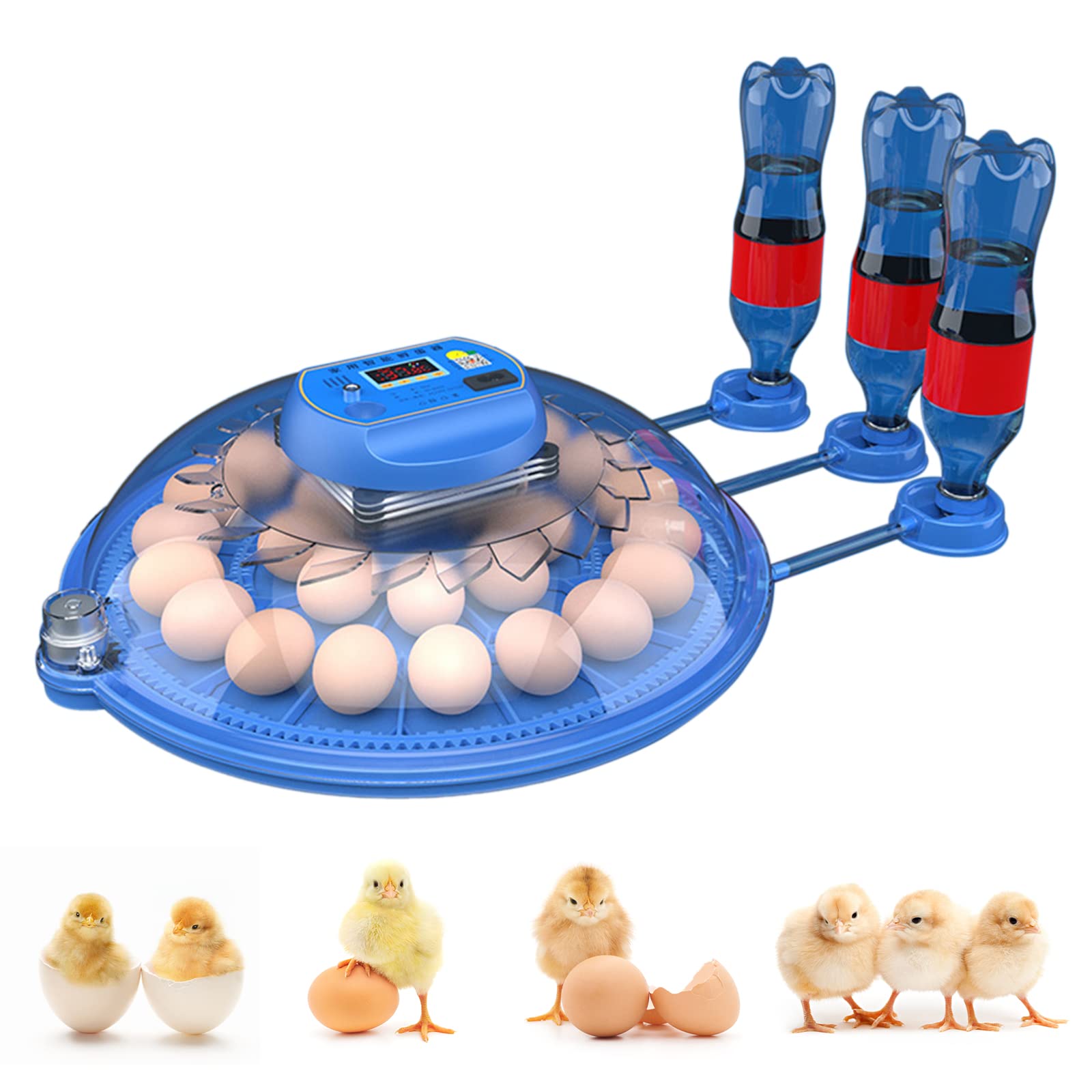 Amazon.com: BSNANCA Egg Incubator, 26 Egg Incubators for Hatching