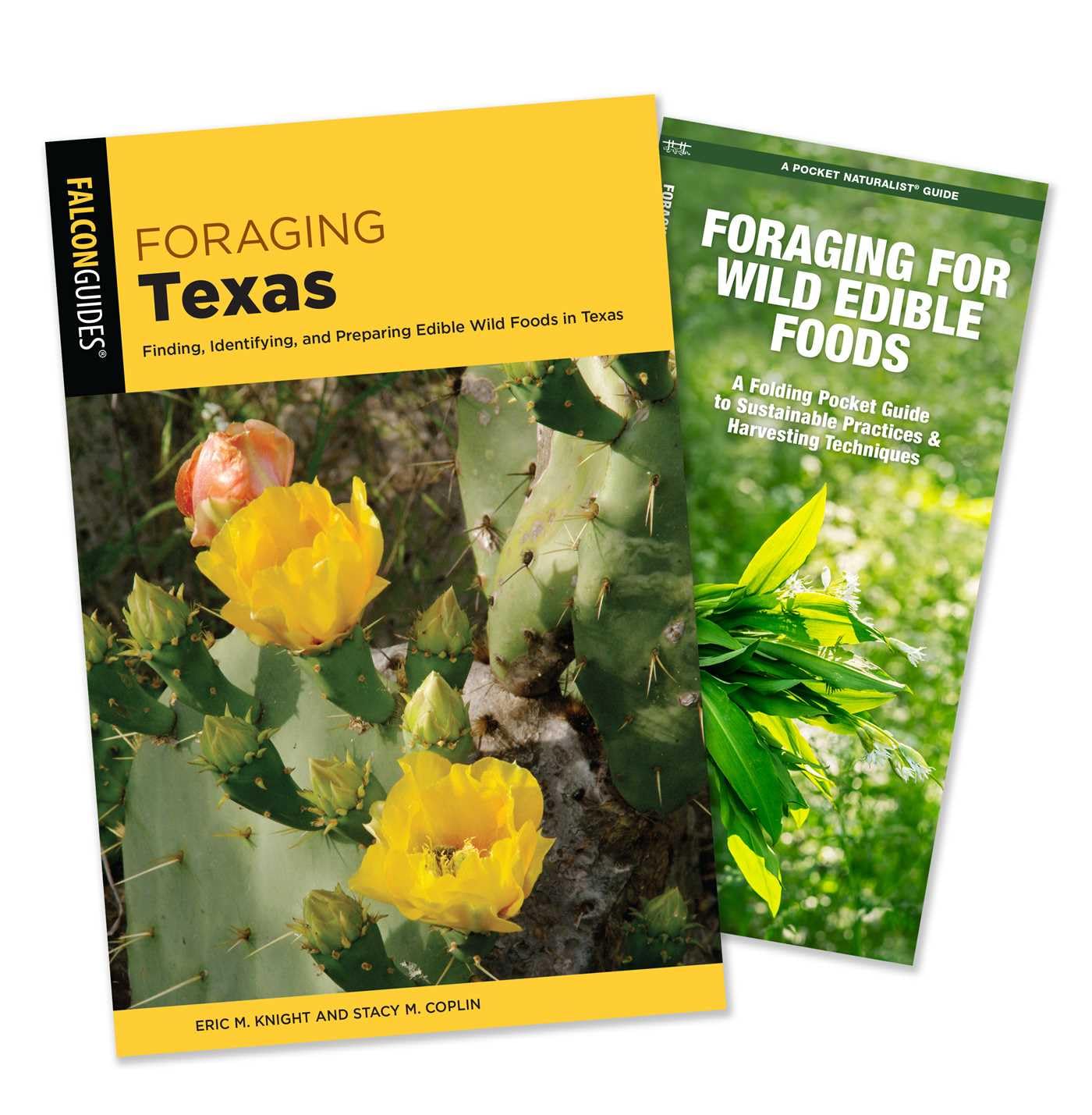 Foraging Texas Guidebook and Folding Pocket Guide Bundle: Finding, Identifying, and Preparing Edible Wild Foods in Texas