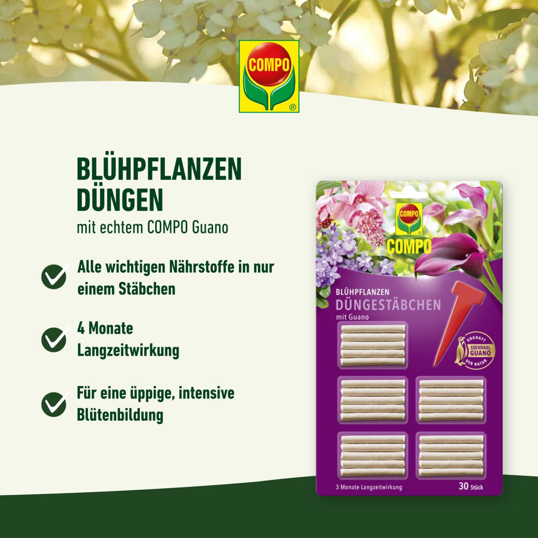Compo Blhpflanzen Dngestbchen mit Guano : Amazon.de: Garten
