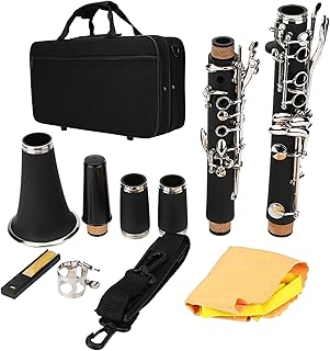 Bb Clarinet, 17 Key Nickels Plated Grenadilla Wood Professional B Flat Clarinet with Hard Case for Beginners Students Intermediate Players