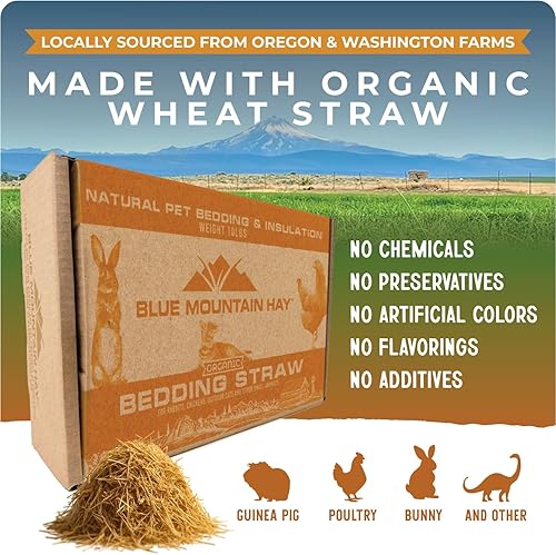 Miniatura 2 de Blue Mountain Hay Paja de cama orgánica (3 libras) de animales naturales para cobayas, chinchillas, conejos, hámsters, pollos, gatos salvajes y