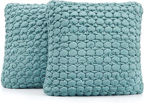 COCOPLOCEUS 1 funda de almohada Euro Sham Boho de 24 x 24 pulgadas, fundas de almohada decorativas de granja de terciopelo verde azulado, fundas de