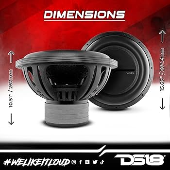 Amazon.com: DS18 ZXI15.4D 15