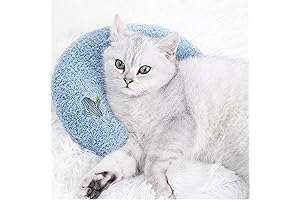 Little Pillow, Big Dreams: The Purrfect Pillow for Cat Naps