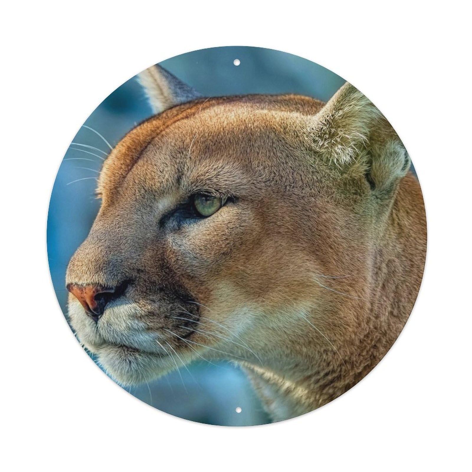 Animal Fierce Cougar Vintage Metal Tin Sign Plaque Wall Decor for Cafe, Club, Garden Round Metal Poster 8x8Inch