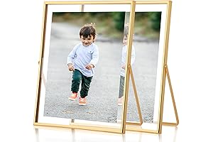 Fixwal Gold Frame Floating Picture Frame