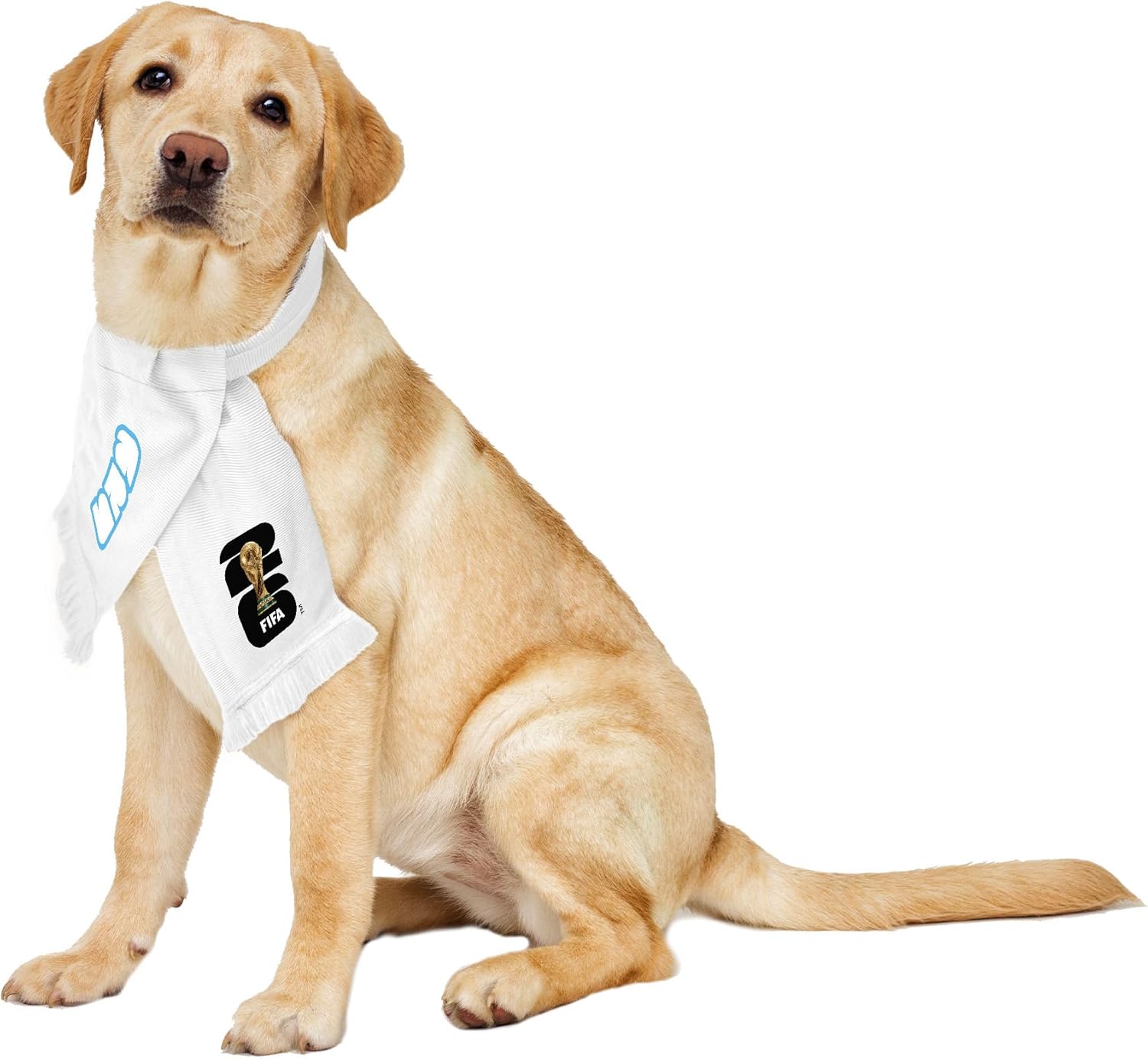 Littlearth Pet Soccer Team Scarf - Officially Licensed FIFA 2026 Pet Apparel Comes in 13 Fan-Favorite Country Designs