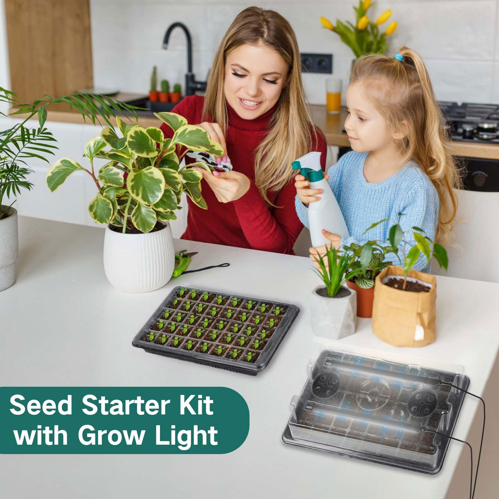 BlumWay - Kit 2 Mini Serres Avec Lampe De Croissance Pour Semis - 24 Cellules, Dôme D'humidité Réglable