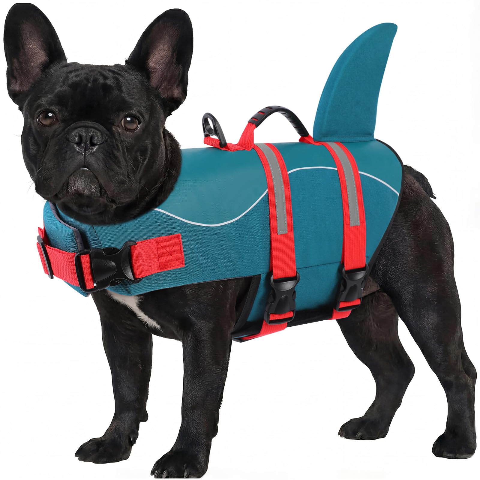 ASENKU Giubbotto Salvagente per Cani, Giubbotto Salvataggio Cane Squalo per Nuoto e Sport Acquatici, con Maniglia Superiore e Cintura di Sicurezza Regolabile, per Cani di Taglia Piccola Media Grande M