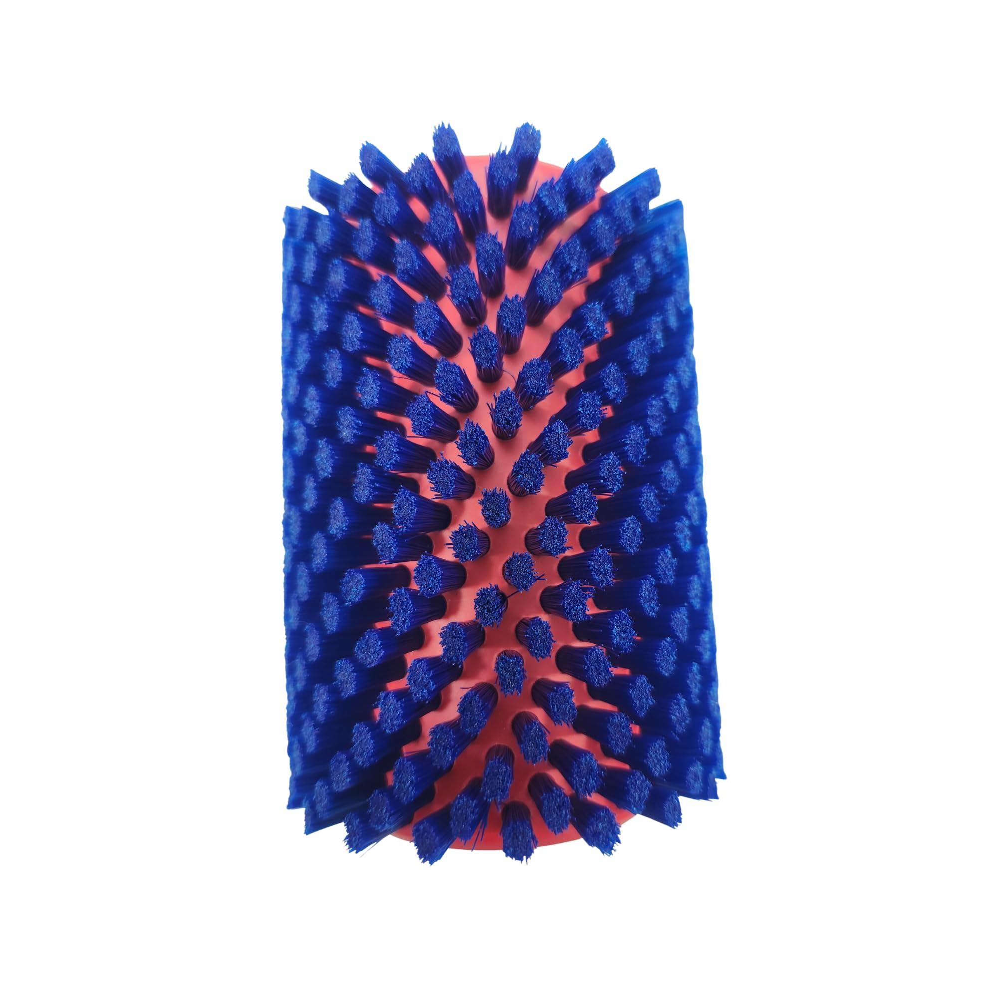 Amazon.com: SWIX Blue Nylon Roto Brush TA0017W : Pet Supplies