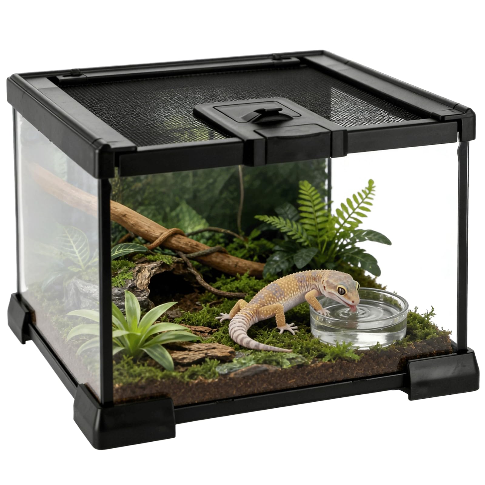 Mini-Reptilien-Glasterrarium 7,9 x 7,9 x 5,7 Zoll, Vollsicht-Regenwald-Vivarium, stapelbares Gehege für Schildkröten, Geckos, Frösche, Einsiedlerkrebse, Keine Montage erforderlich