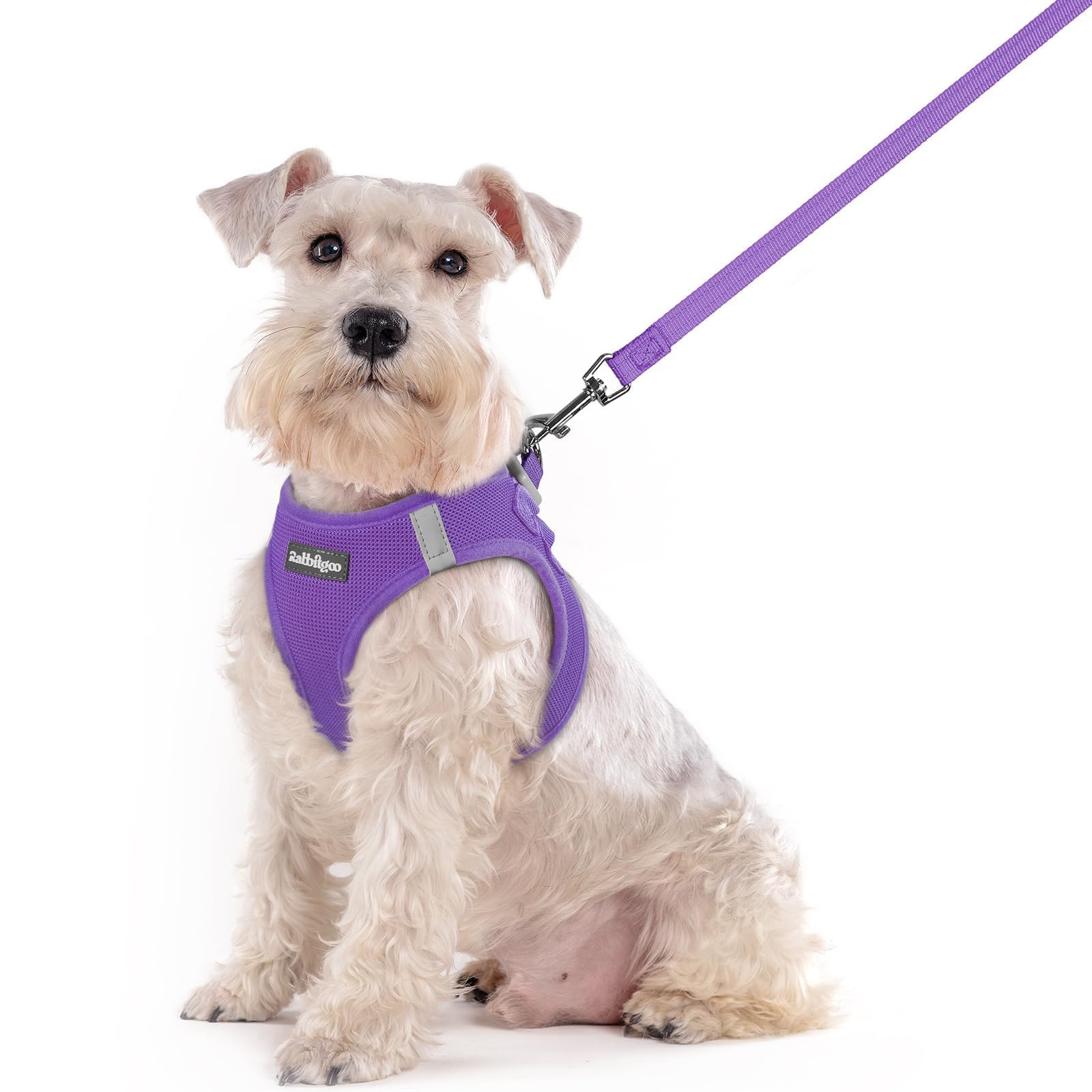 rabbitgoo Dog Harness Medium Sized and Leash Set, Step-in Puppy Pet Vest