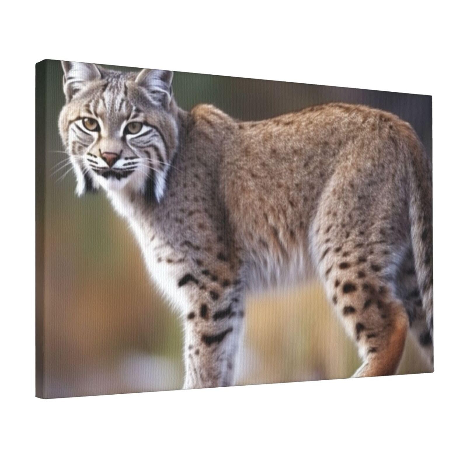 KLOPH Wild bobcat Canvas Wall Art for Living Room 12"x18" Modern Artwork Painting for Bathroom Hanging Canvas Prints Aesthetic Wallart for Bedroom Kitchen Office Wall Decor