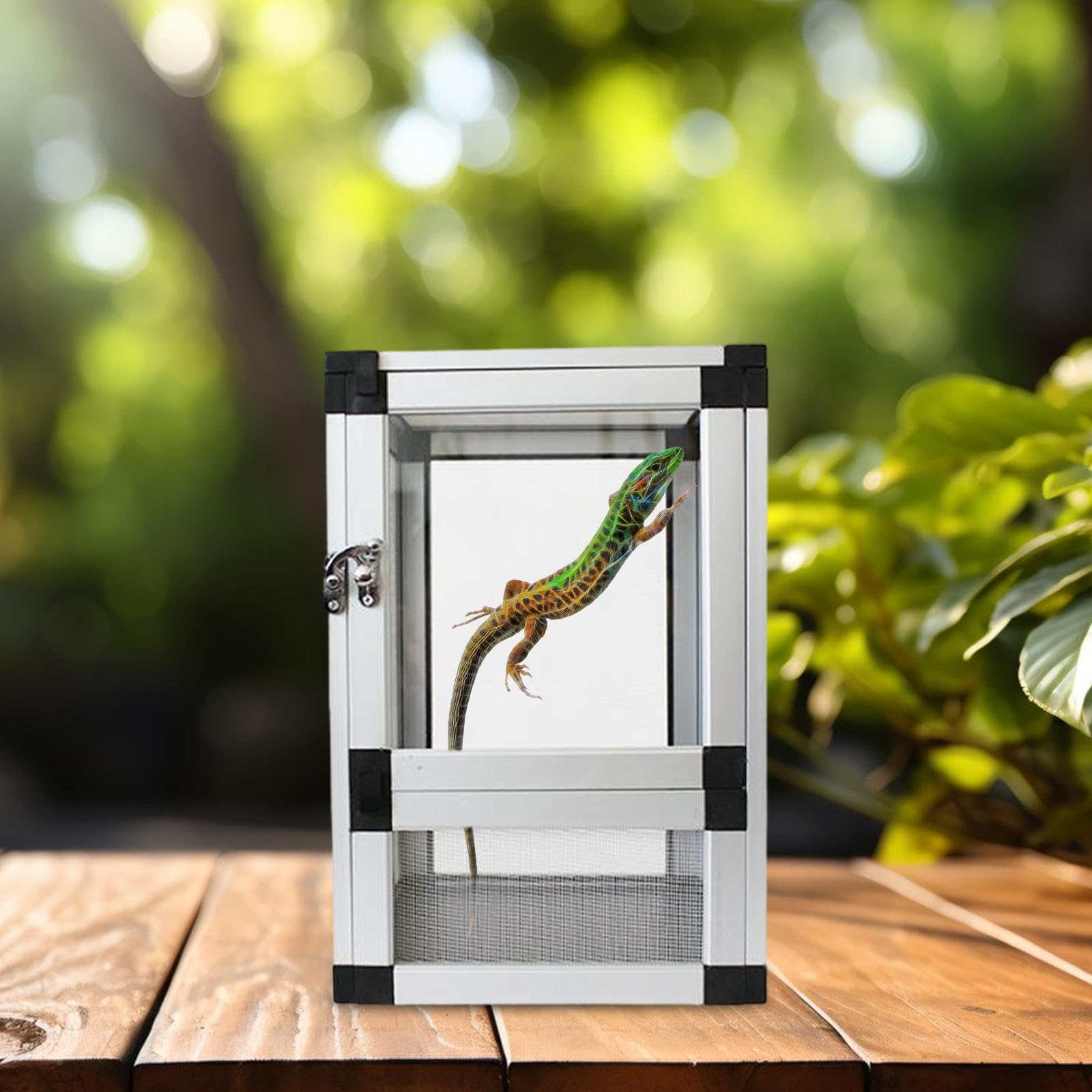 Jaula para Reptiles, Terrario, para Mascotas, Interacción con Puerta Frontal, Observación de 360°, Ventilación para Ranas, Serpientes Y Dragon, Argén, Individual