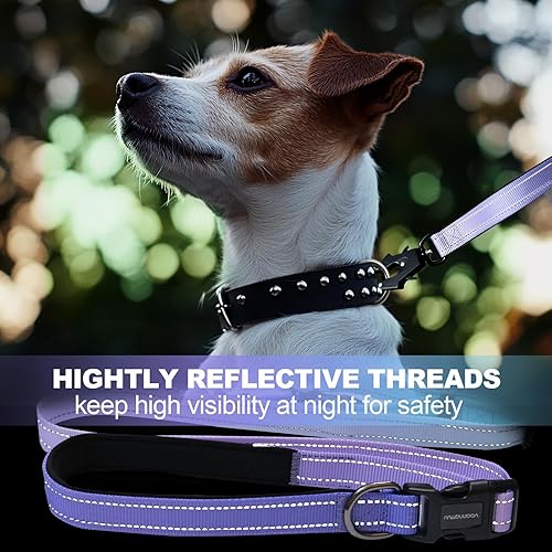 Miniatura 5 de Correa de perro resistente manos libres con mosquetón de liberación rápida y correa ajustable para correr para perro, para caminar y entrenar con