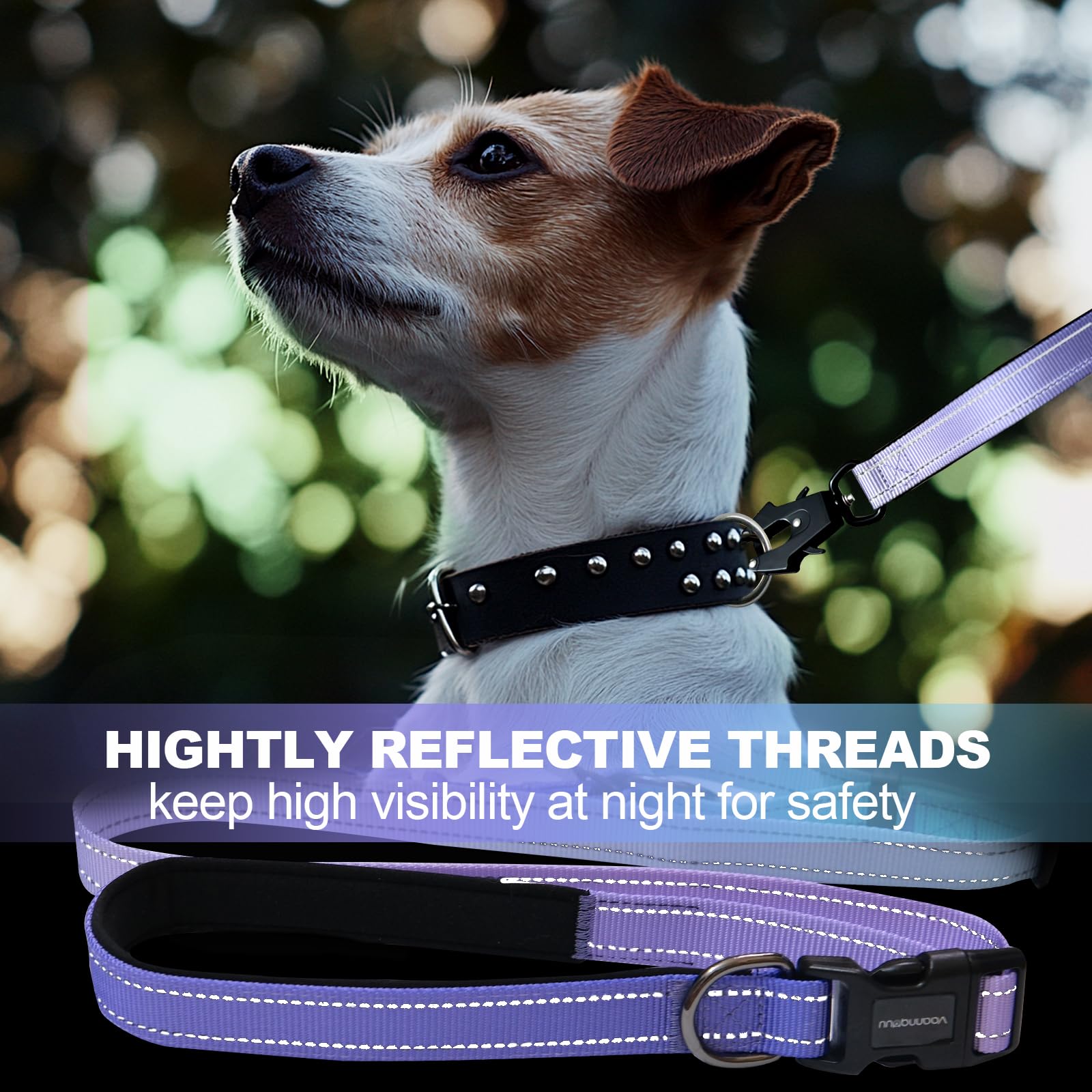 Guinzaglio per cani resistente con moschettone a sgancio rapido e guinzaglio elastico regolabile senza tirare, per passeggiate e addestramento, con cintura di sicurezza per auto, 1,2 - 1,8 m (viola