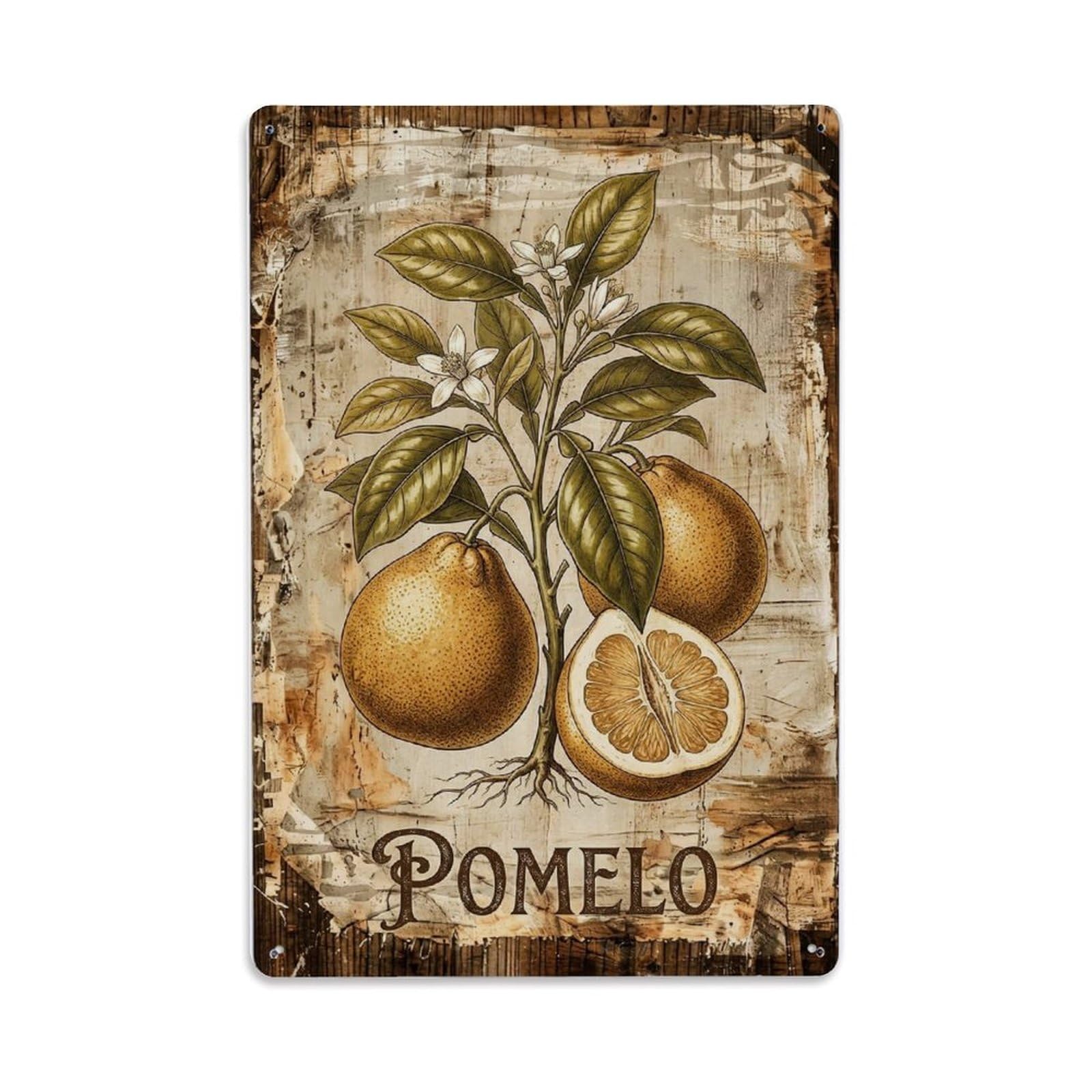 Fqnyr Style Pomelo Citrus Fruit 1 Metal Tin Sign Plaque Wall Decor For Cafe, Club Bar, Office, Home Garden Metal Poster 8X12inch