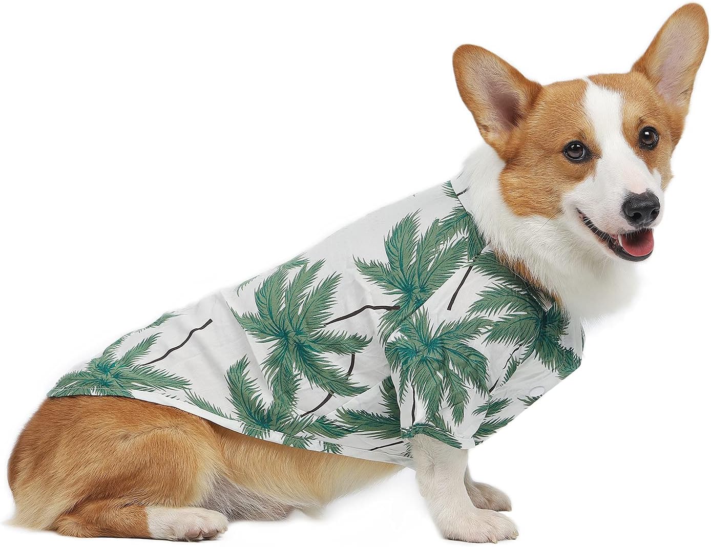 PetVougue Dog Hawaiian Shirt Tropical Clothes Dogs Girl Boy Summer Small Medium Large Tee Shirts,White L : Pet Supplies