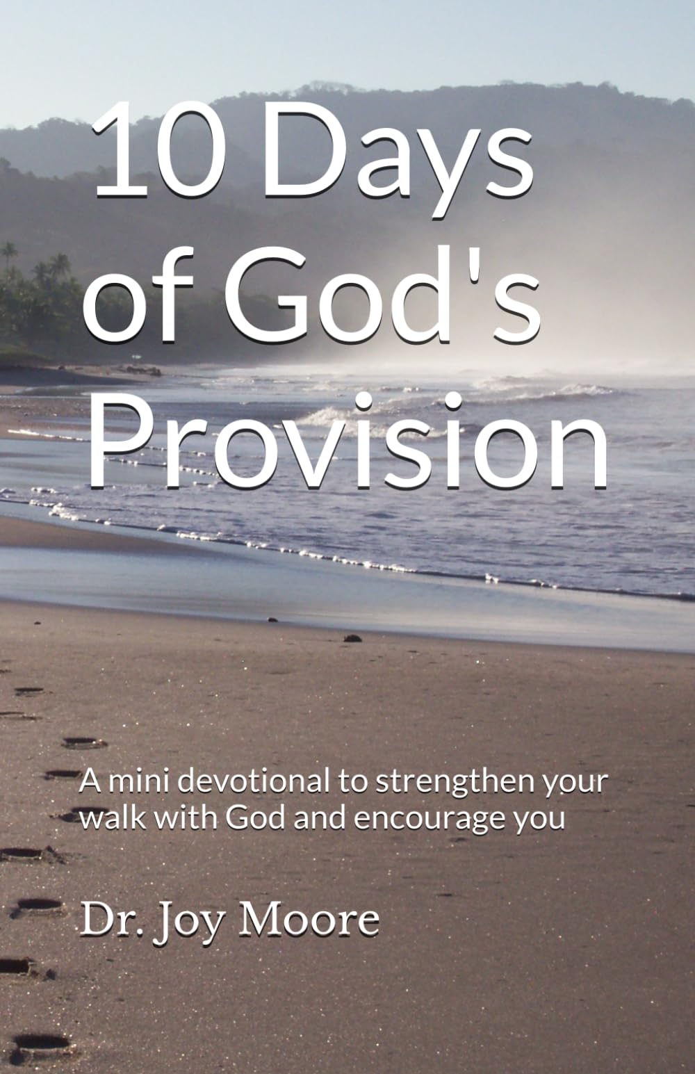10 Days of God's Provision: A mini devotional to strengthen your walk with God and encourage you (10 Day Devotionals)