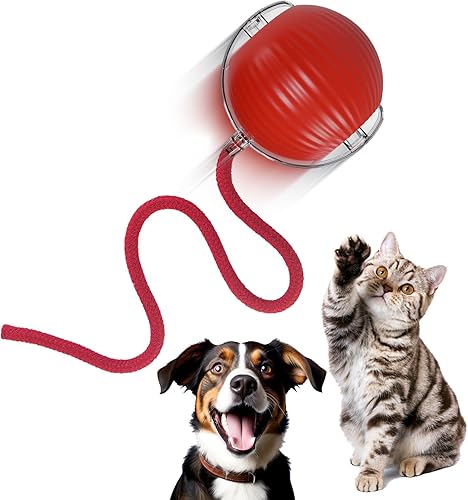 Juguetes interactivos para gatos de interior, juguetes automáticos para gatosgatitos para gatos adultos aburridos de interior, activado por