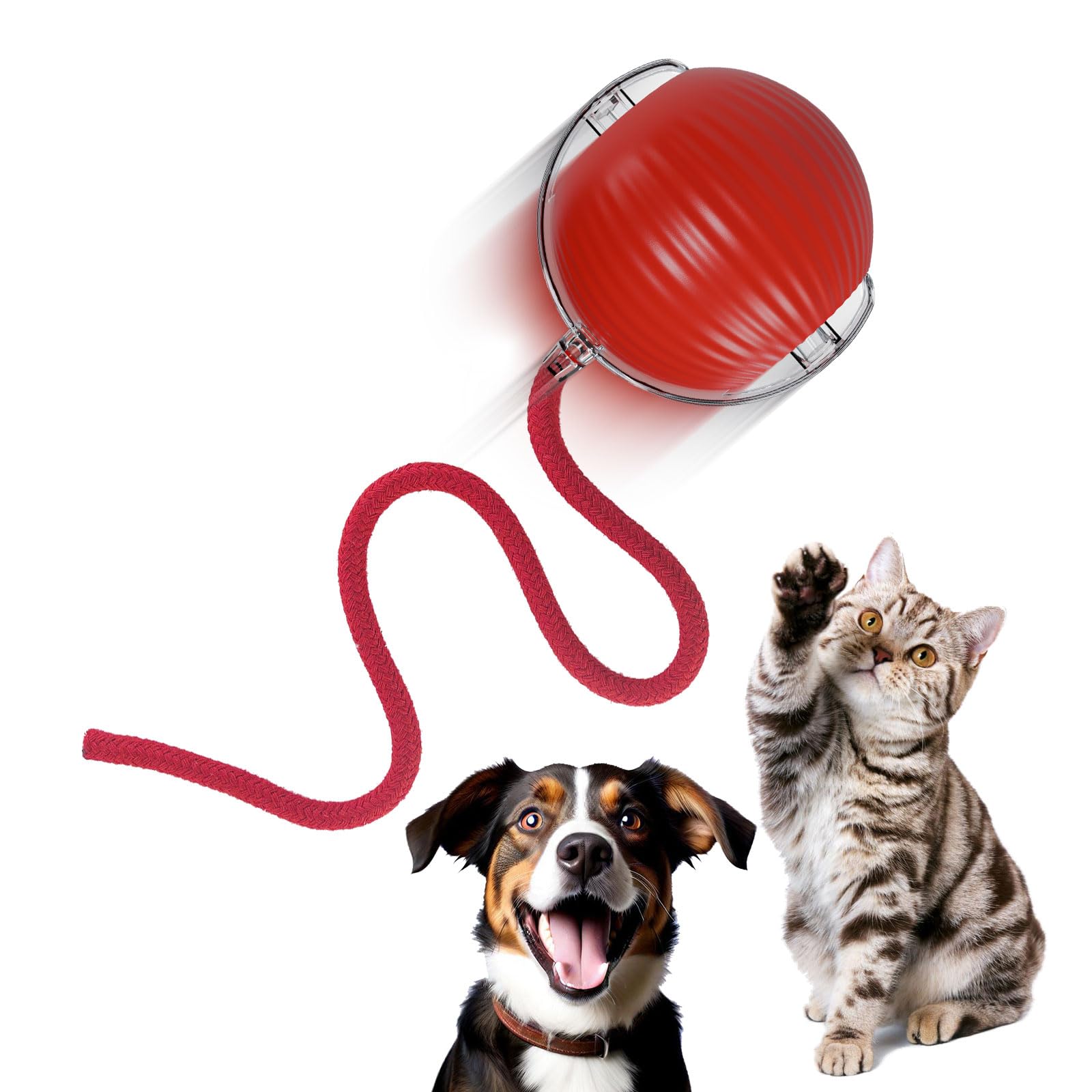 AnyEnjoy Interactive Cat Toys for Indoor Cats,Automatic Cat/Kitten Toys for Bored Indoor Adult Cats,Motion Activated