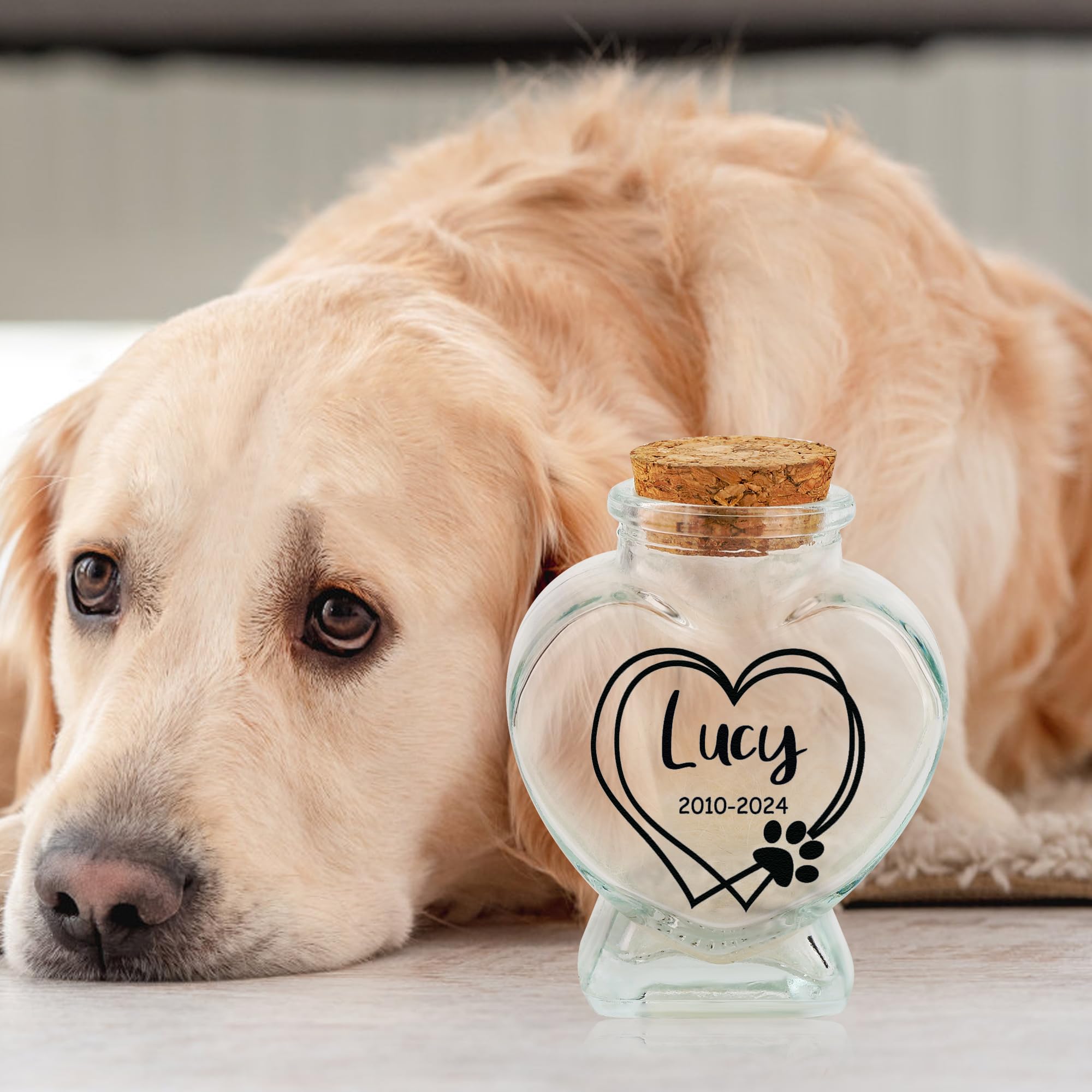 Barattolo commemorativo personalizzato in pelliccia di animale domestico, bottiglia commemorativa per peli di animali domestici, ricordo personalizzato per cani e gatti con nome animale domestico