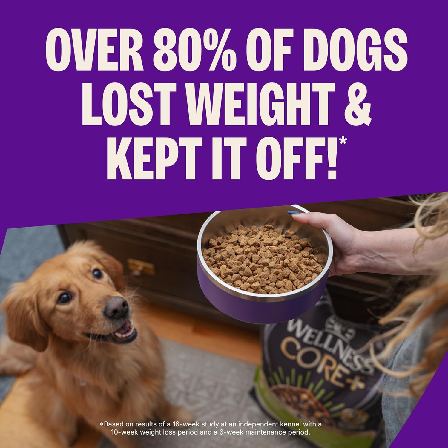 Wellness CORE+ Healthy Weight Adult Dry Dog Food with Freeze Dried Pieces, Grain Free Kibble+, Natural, High Protein, Turkey and Chicken Recipe, 18 lb Bag