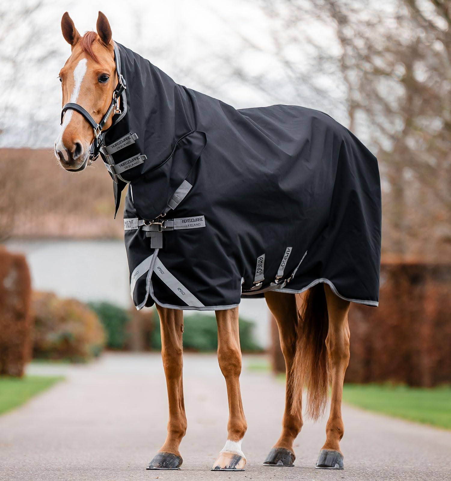 Amigo chemise de pluie intégrée 1200D protège votre cheval par temps venteux