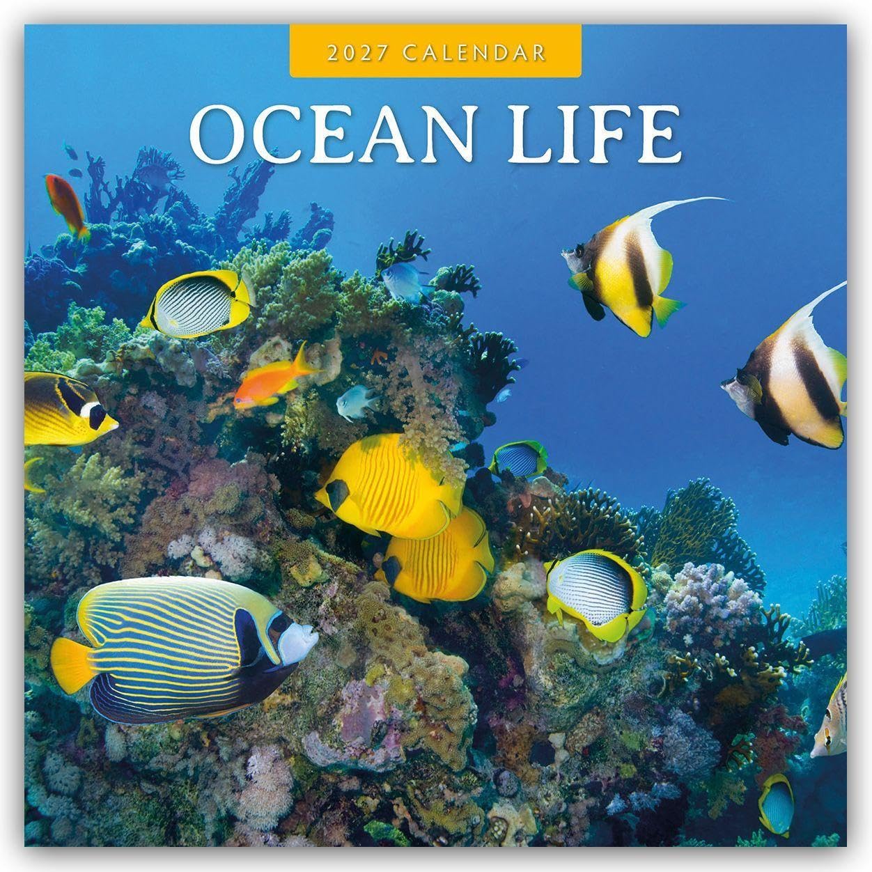 Ocean Life 2027 Square Wall Calendar: Original Red Robin Publishing Ltd-Kalender [Mehrsprachig] [Kalender]