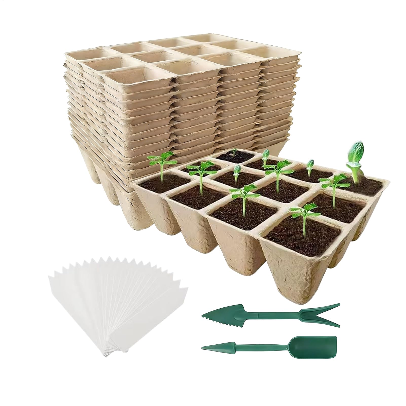 Macetas de Inicio para Plantas Kit de Vasos de Trasplante de 12 Celdas | con Herramientas y Etiquetas Vasos de Plantación Amigables con Raíces para el Cuidado Crecimiento y