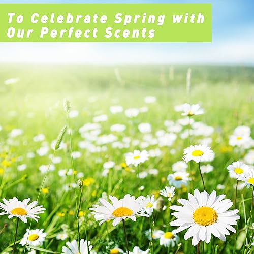 Miniatura 4 de ESSLUX - Aceites aromáticos de primavera, aceites perfumados prémium para difusor del hogar, aromas para hacer velas de jabón, juego de regalo de