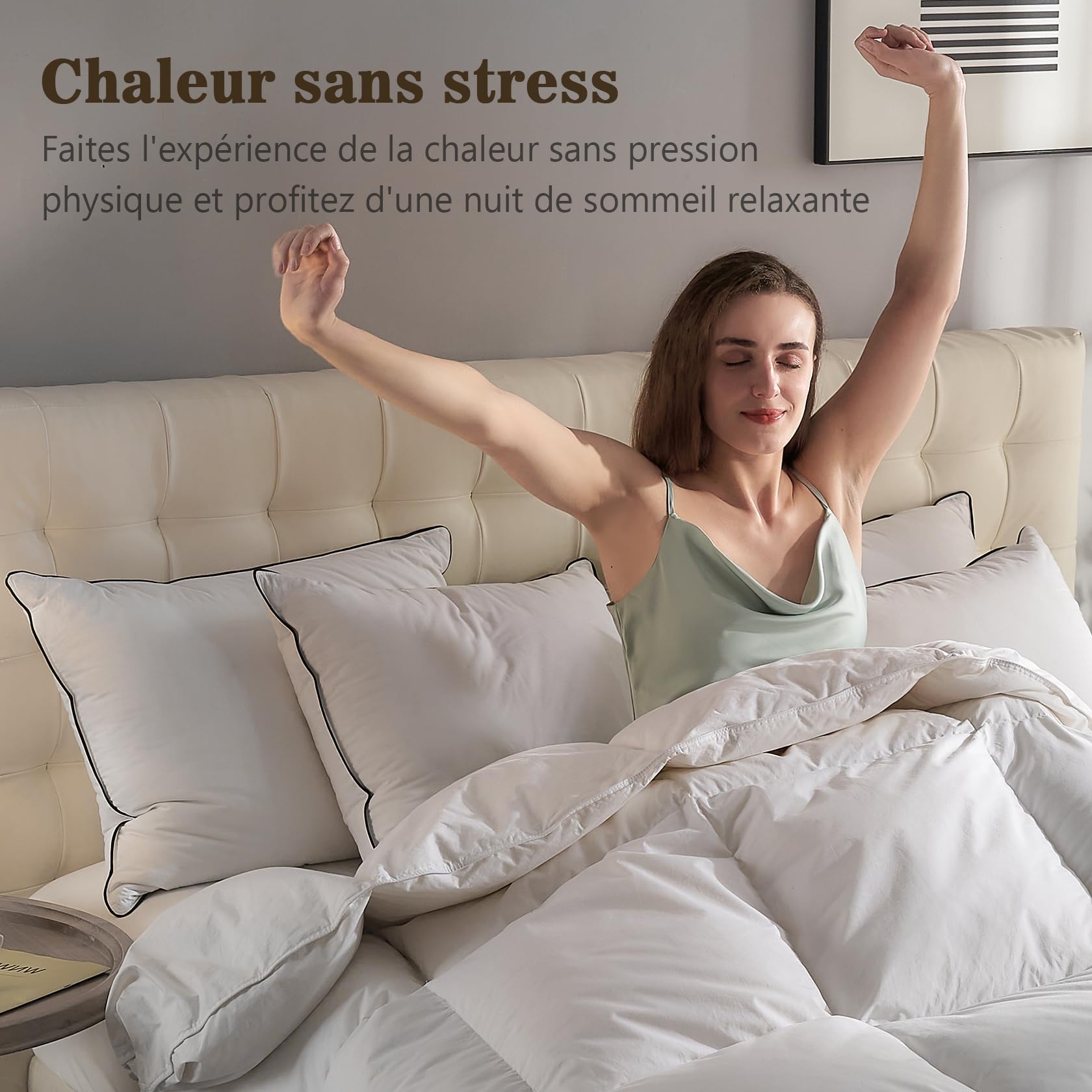 BPC Couette en Plumes d'oie et Duvet 200x200 | Couettes pour Hotel de Luxe Naturelle Été | 100% Coton Biologique | Certifiée Oeko-Tex et RDS,2 Personnes