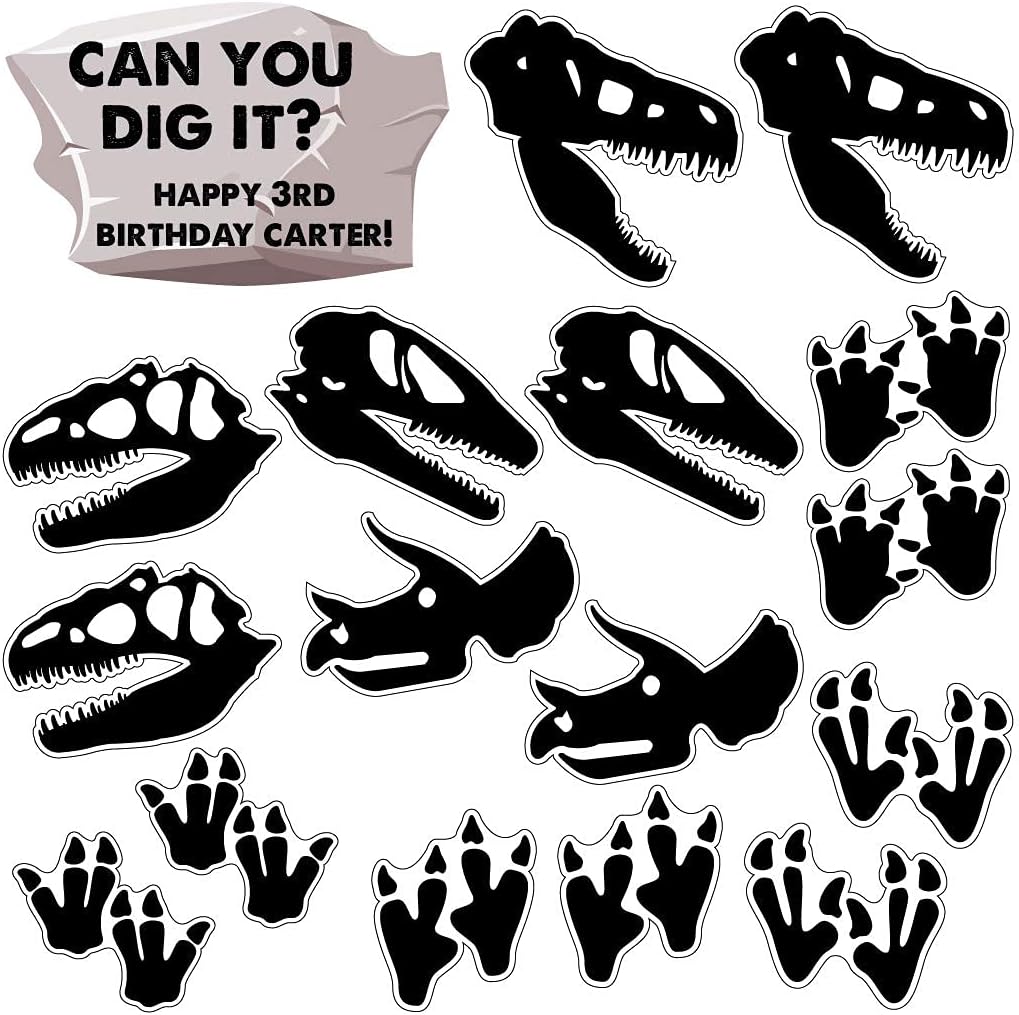 VictoryStore Custom Dinosaur Birthday Decorations: Fossil Birthday Yard Decoration Can You Dig It? 17pcs Includes Stakes
