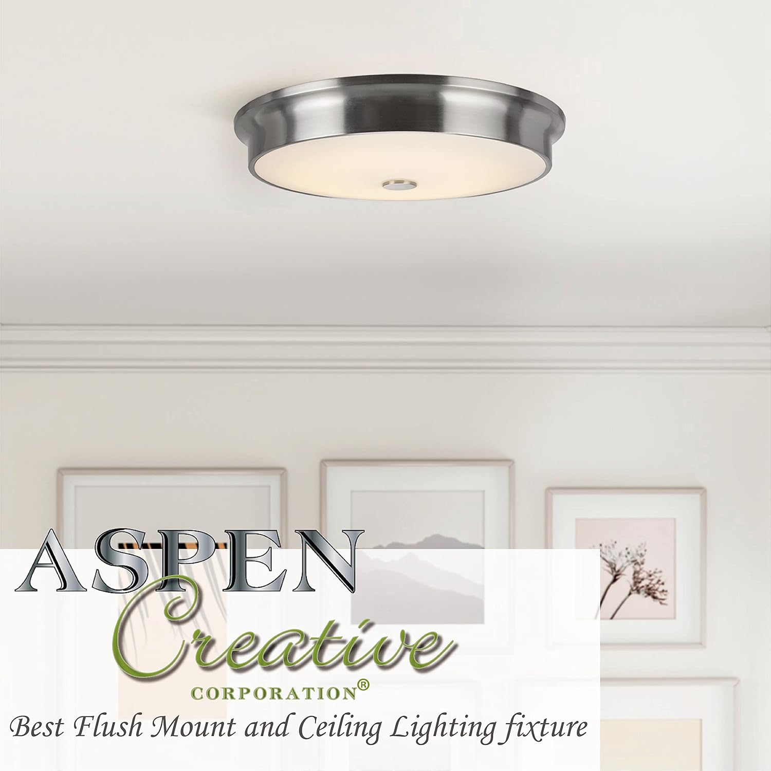 Aspen Creative 63002M-1 LED Medium Flush Mount Ceiling Light Fixture, Contemporary Design in Satin Nickel Finish, Frosted Glass Diffuser, 9" Diameter