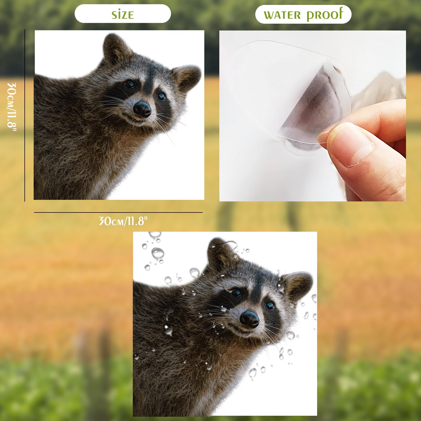 Roly Bee Smiling Raccoon Decal - Funny Peeping Raccoon Cute Window Decal, Waterproof, Car Laptop Wall Window Bumper Sticker (12