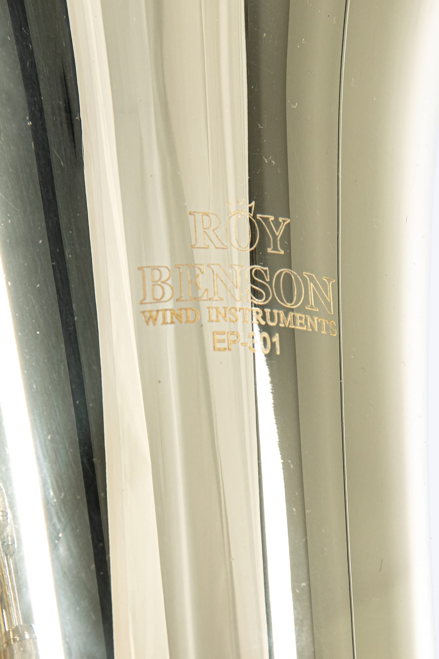 Roy Benson Bb-Euphonium EP-301 (strumento a fiato professionale, con leadpipe in ottone dorato, guide esterne in alpacca, valvole in acciaio inossidabile, con comoda custodia sagomata)