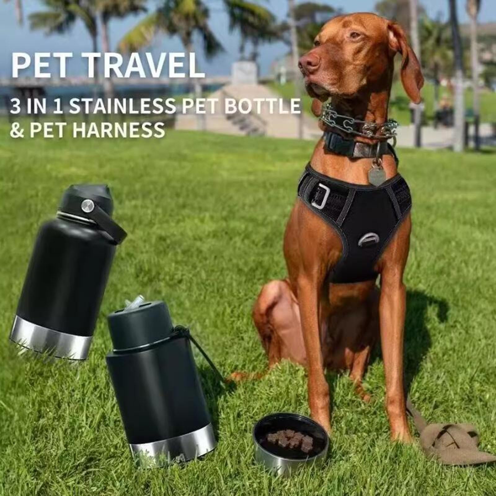 Edelstahl Hundetrinkflasche 950ml Auslaufsichere Wasserflasche für Hunde für Hunde & Katzen - Camping Reise & Outdoor Spaziergang BPA-frei(Orange)