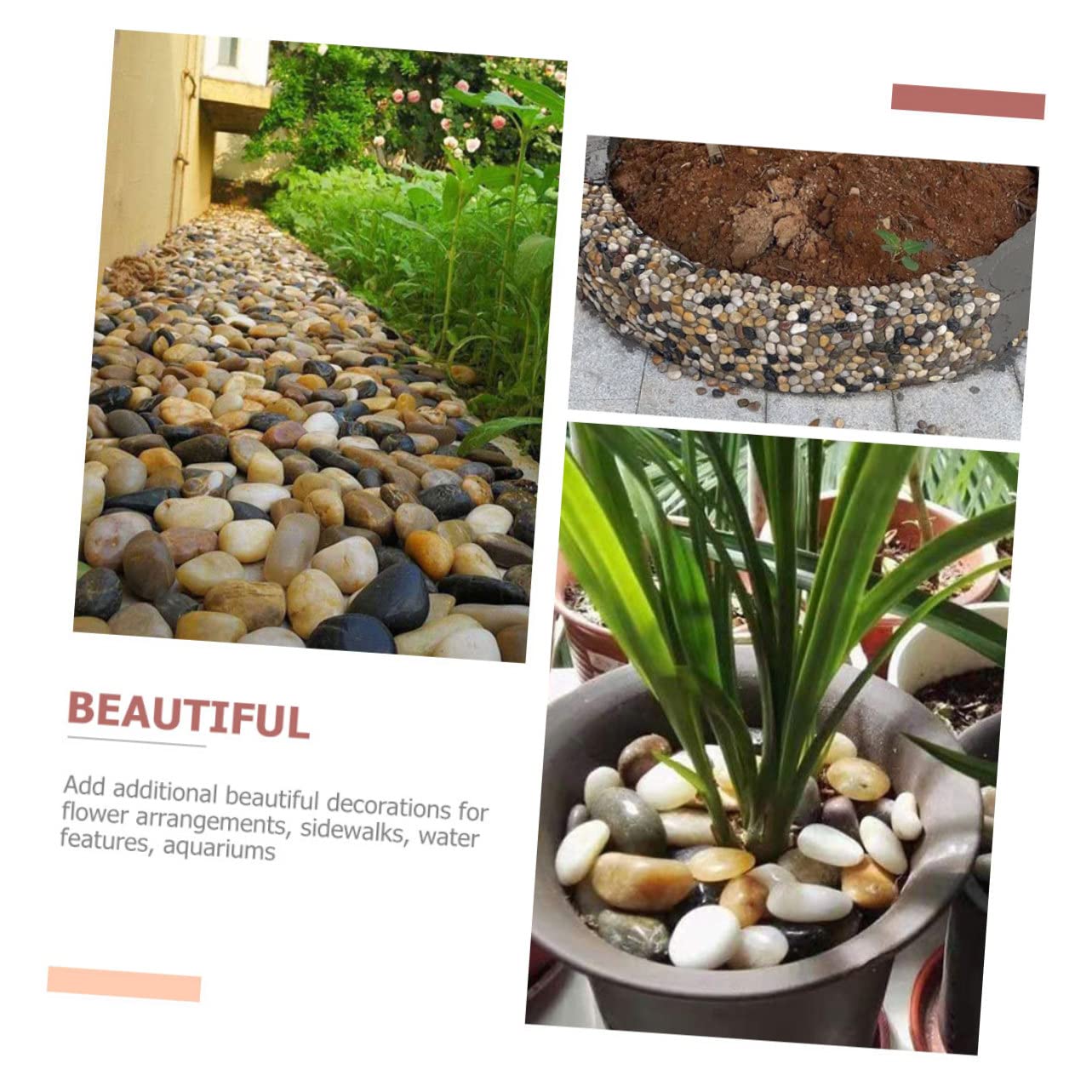 FOMIYES 3 Paquetes Piedras Mixtas Naturales Pulidas Plantas Naturales Interior De Rio Mexicana Terrario Plantas Piedras Pequeñas Rocas De Jardín Suculentas Cactus Exterior Guijarro
