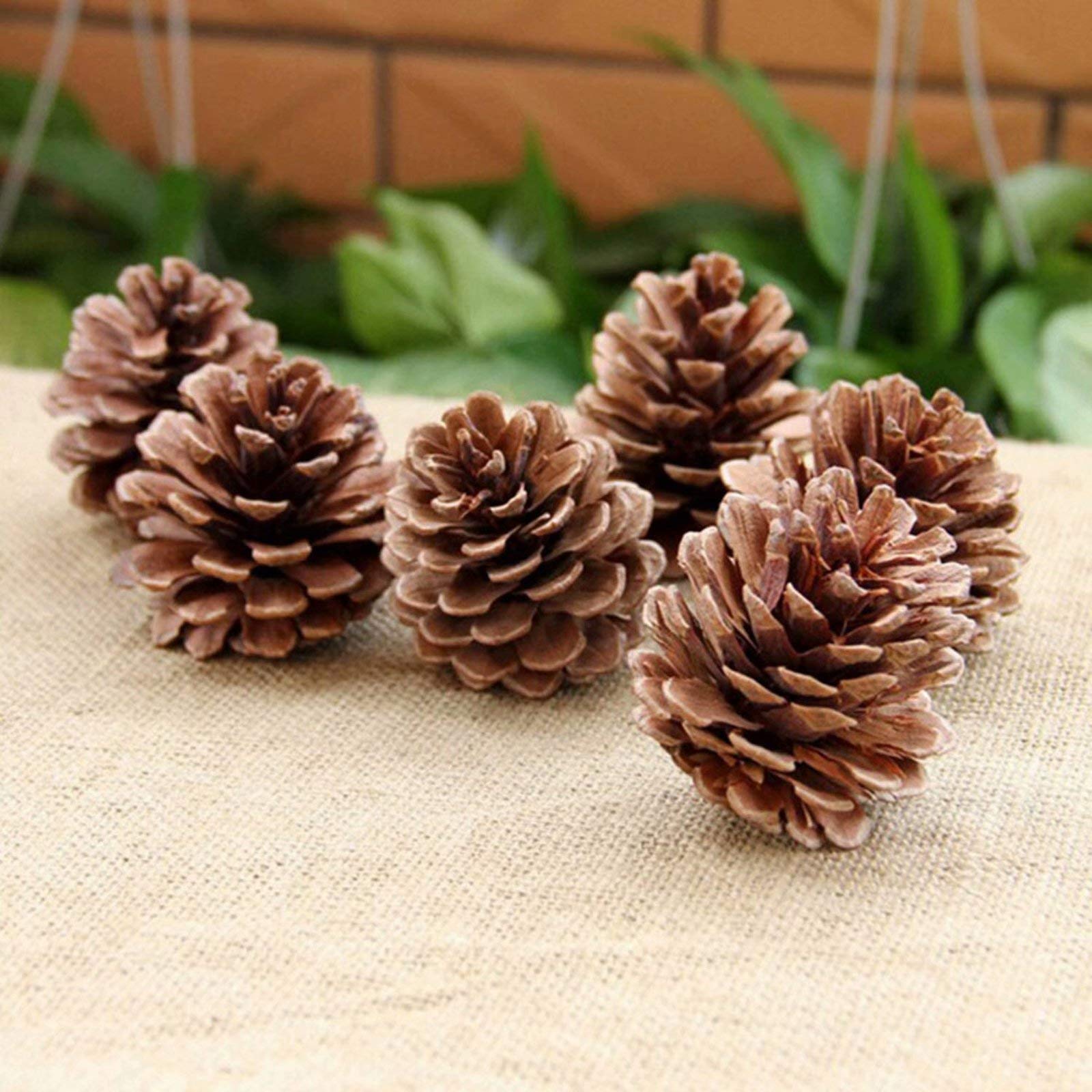 30 szt. naturalnych szyszek sosnowych, ozdoby do samodzielnego wykonania, słupek do domku, dekoracyjny jesienno-zimowy, wakacje, dekoracja domu, wypełniacz wazonu, dekoracje do domu, ozdoby