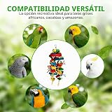 Ver la foto 6