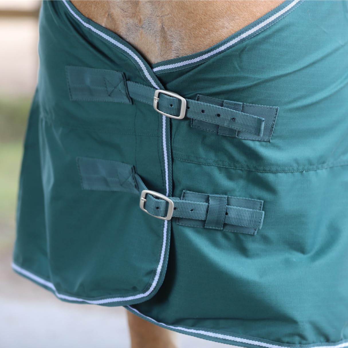 Marengos - Regendecke 600D Comfort – Pferdedecke mit Innenfutter – ideal als Weidedecke – wasserdicht & atmungsaktiv – mit Kreuzgurten, Gehfalten & Schweiflatz – Tannengrün – 165cm | Pferdedecke mit Innenfutter – ideal als Weidedecke – wasserdicht & atmun