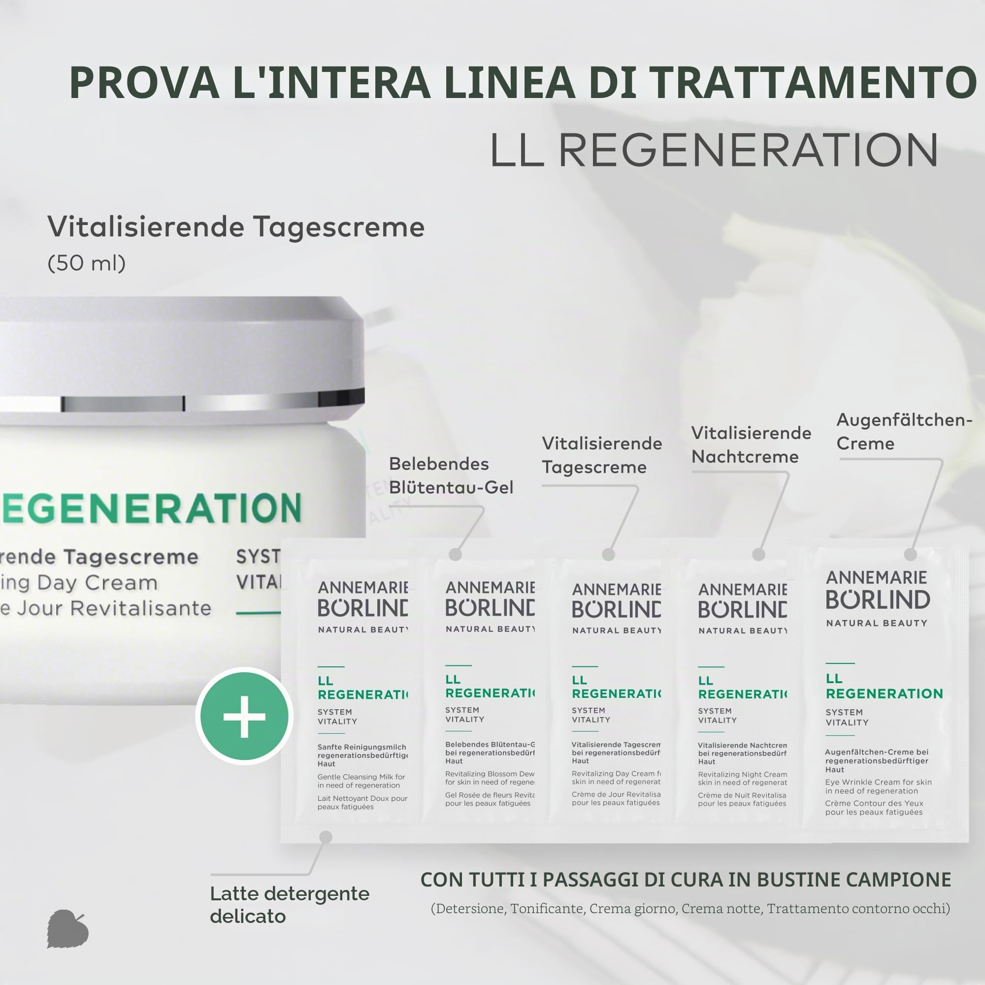 ANNEMARIE BÖRLIND LL REGENERATION Crema giorno vitalizzante (50 ml) + bustine per campione (tutta la routine di cura) – per la pelle che necessita di rigenerazione, protettivo, rigenerante e