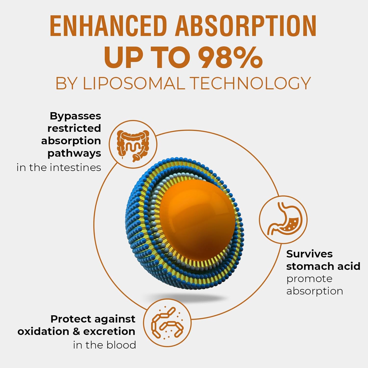 57,000 MG Liposomal Active Rhodiola Rosea Supplement with Ashwagandha, Liquid for High Absorption, Rhodiola Rosea Root Extract Tincture for Energy, Stress, Mood, Vegan, Sugar & Gluten-Free, 60 ml - Image 4