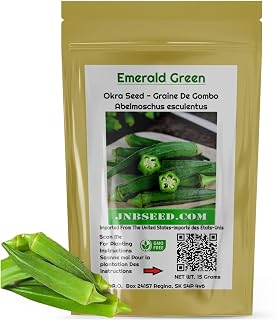Emerald Green Okra Seed (Approx. 240 Seed-15 Grams) Beautiful and Productive Variety for Home Gardens