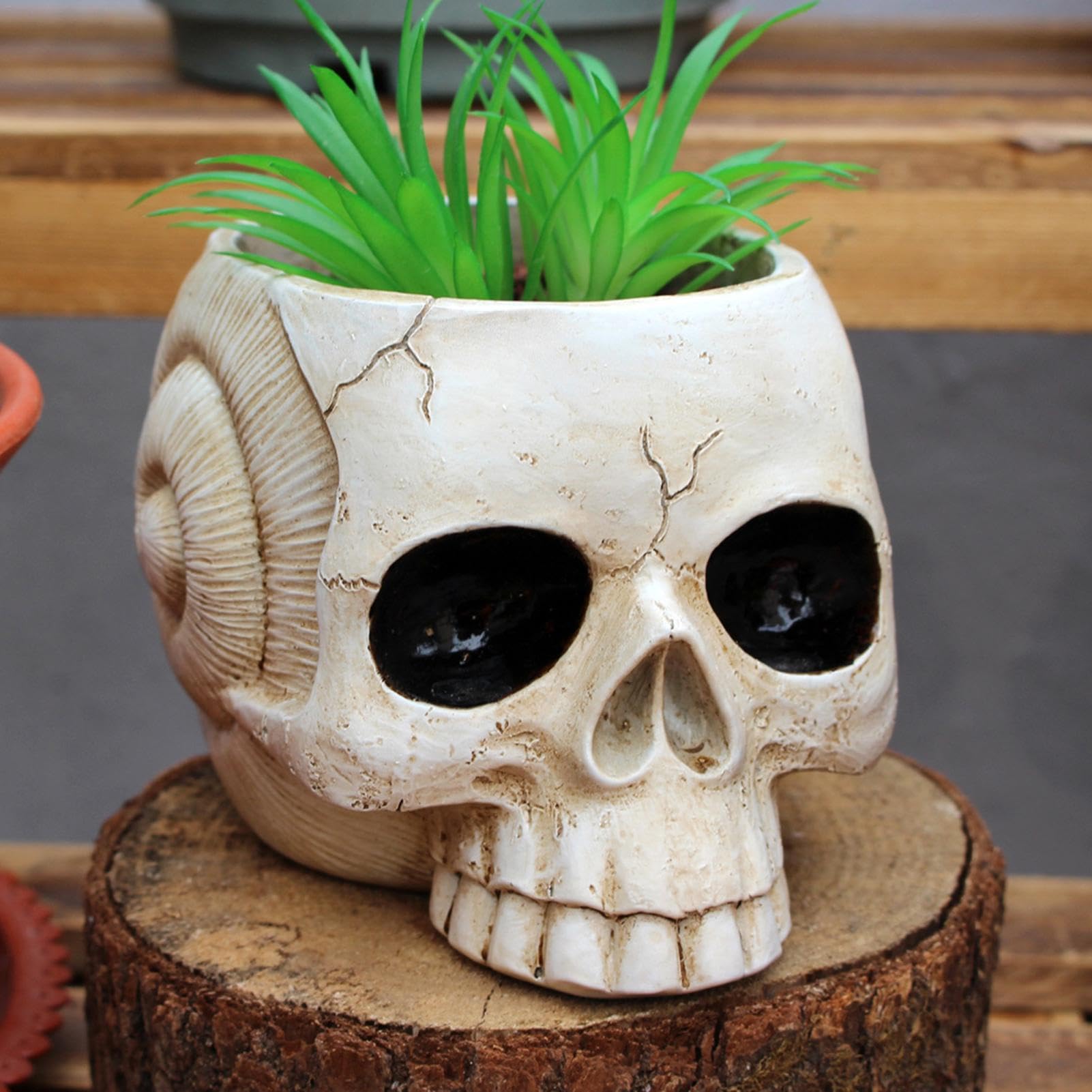 Erice Pot De Fleurs En Forme De Tête De Mort Pour Plantes D'intérieur Et D'extérieur - En Résine - Pour Intérieur Et Extérieur - Noir