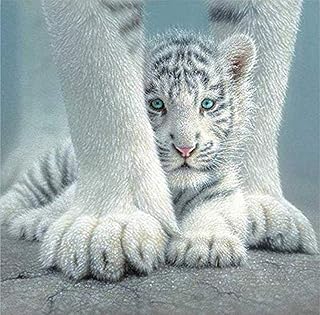 10mejor 10 Imagenes De Tigres Blanco Bebes De 21 Mejor Valorados Y Revisados
