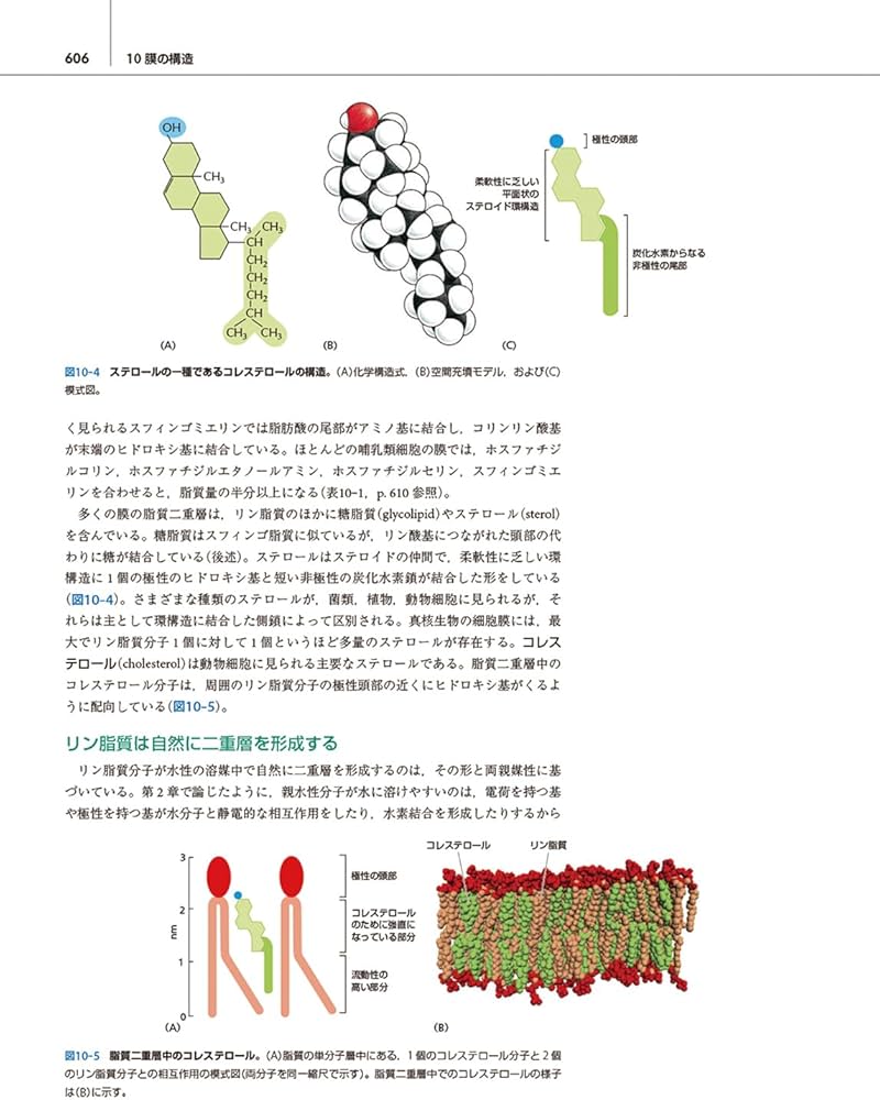細胞の分子生物学 原書第7版 | 中村桂子, 水島昇, 塩見春彦, 三浦正幸